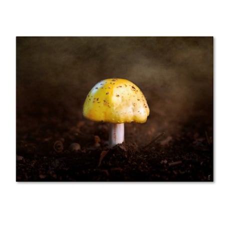 Jai Johnson 'Little Yellow Mushroom' Canvas Art,18x24